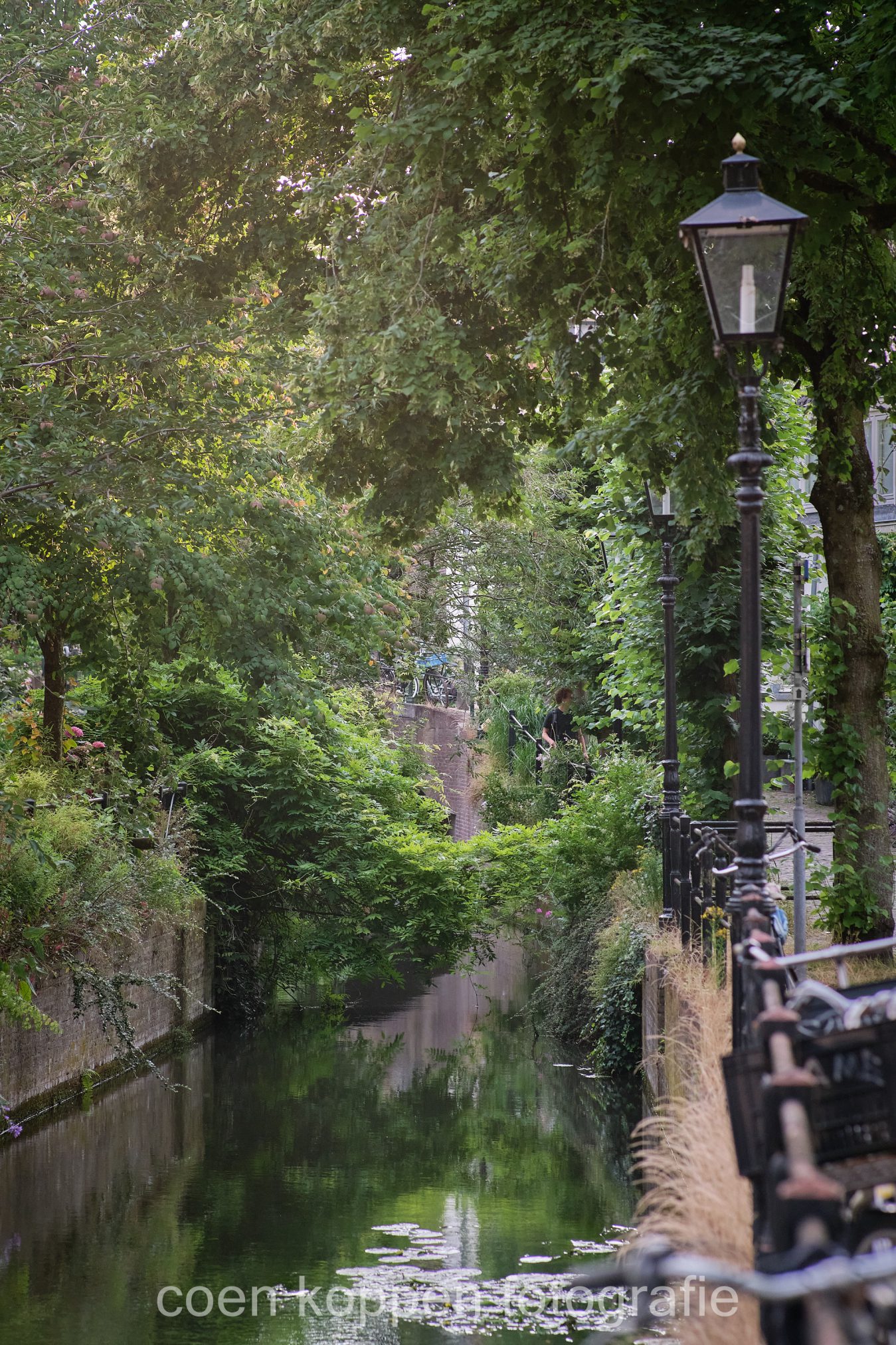 Mooie groene begroeiing van het Zwartewater in Utrecht