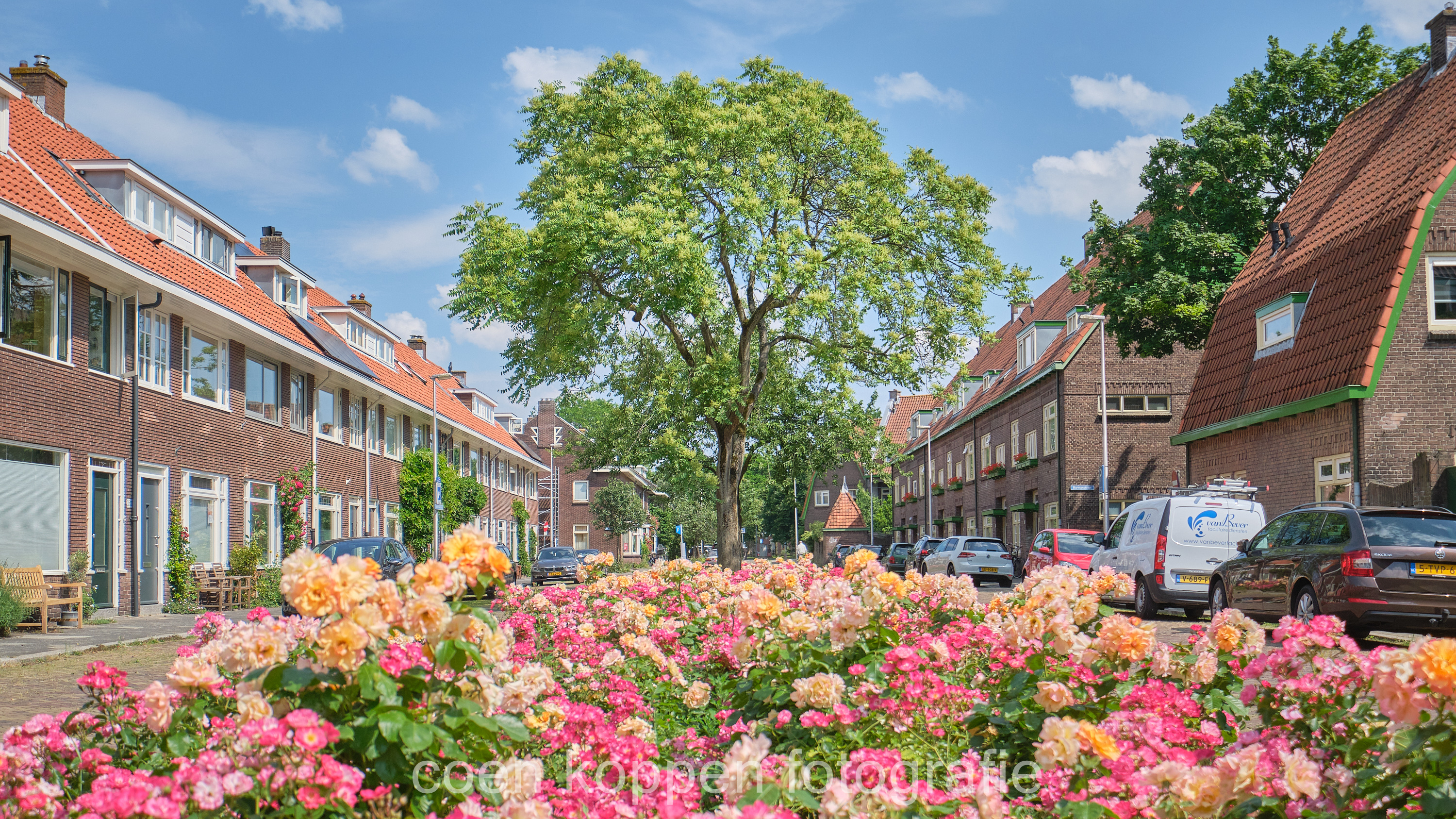 Bloemenperk Gerard Noodtstraat voor het De Tuinwijk 100 jaar gedenkboek door Coen Koppen Fotografie