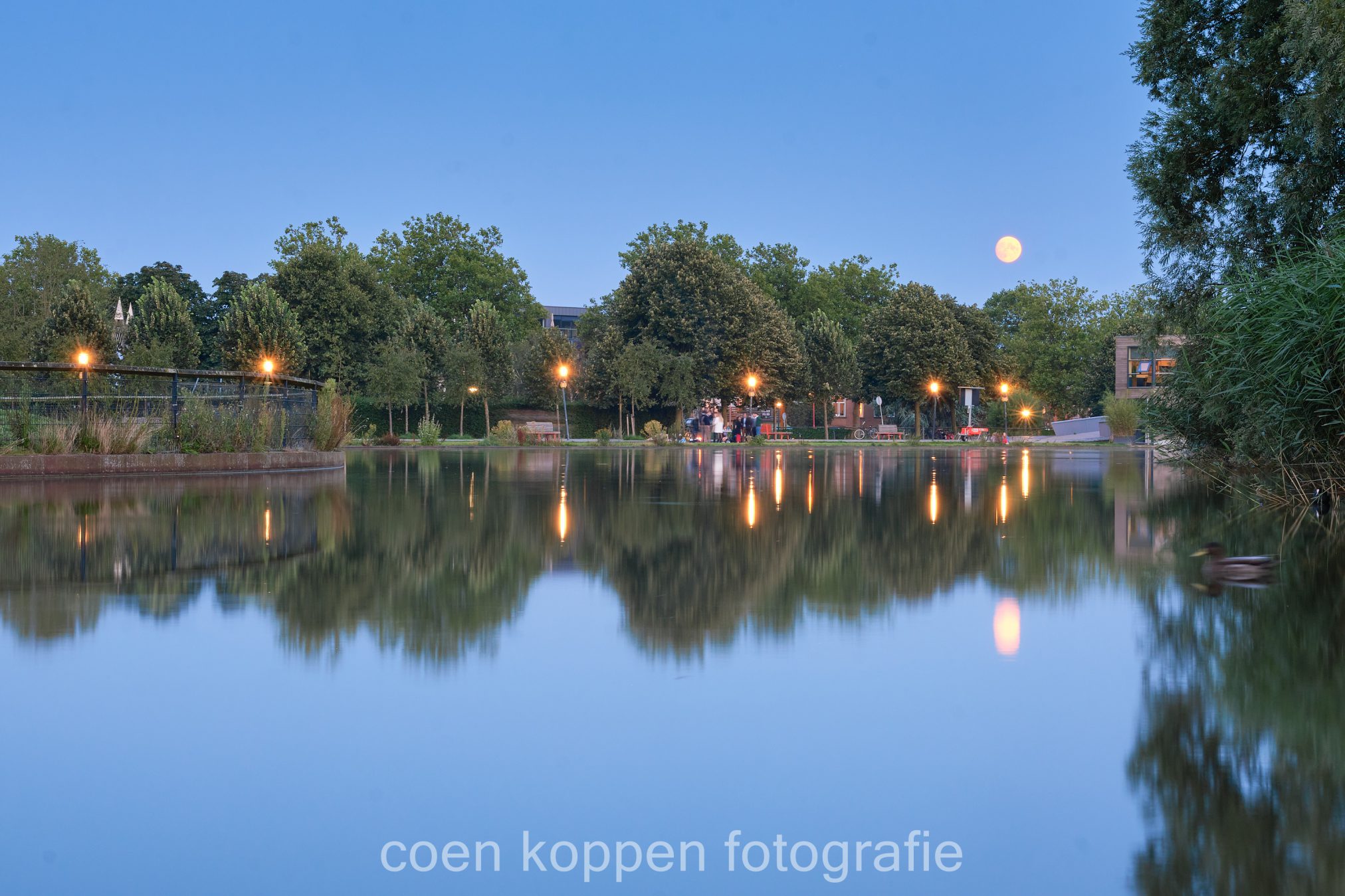 Rode maan gereflecteerd in het meertje van het Griftpark in Utrecht tijdens het blauwe uurtje