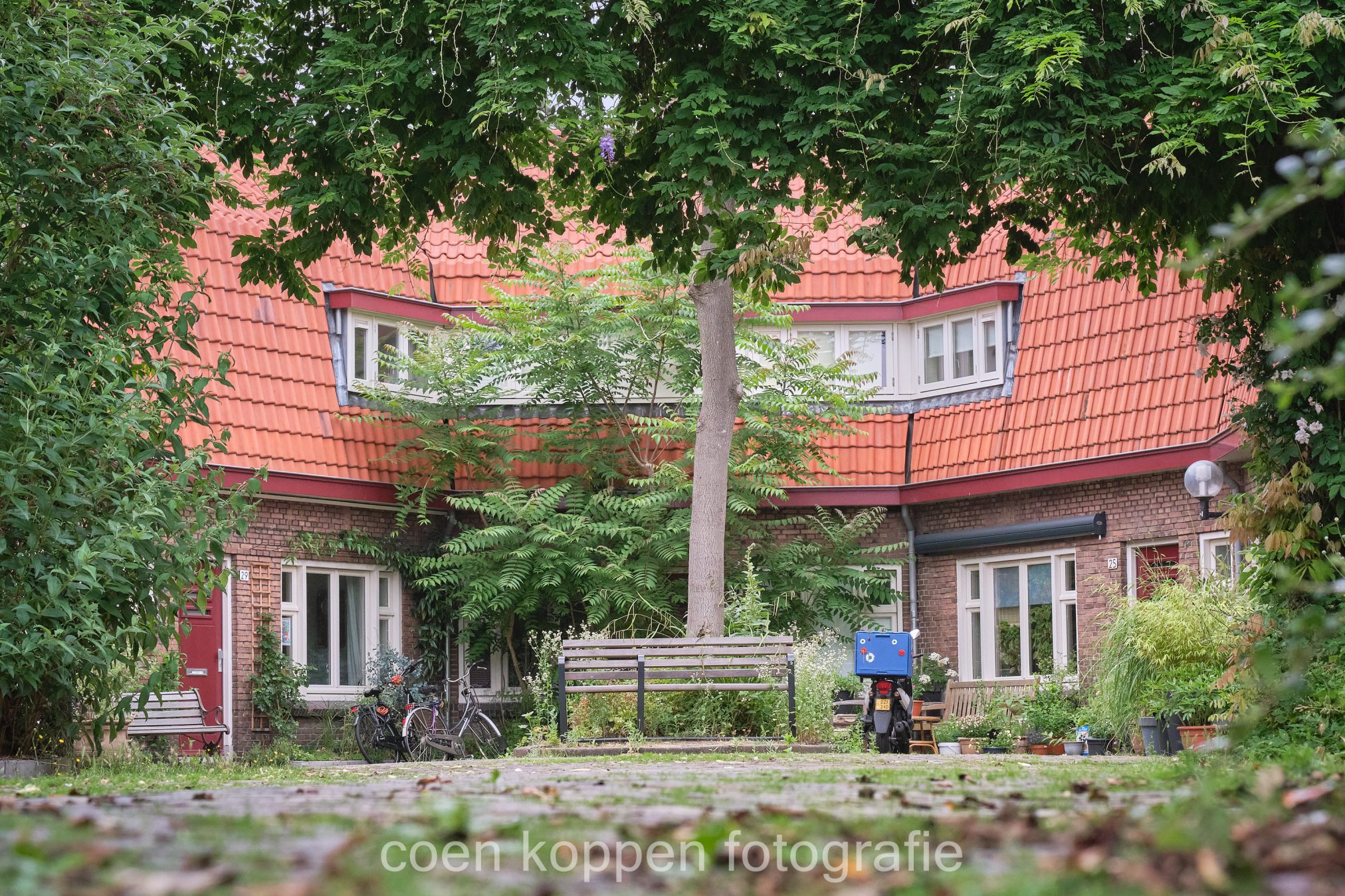 De groene klimplantenboog van het hofje aan de J.D. van der Waalstraat in Tuinwijk Utrecht - Coen Koppen Fotografie