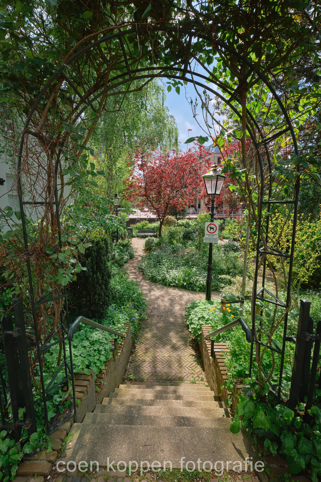 Doorkijkje in de Jan van Lingtuin aan de Lauwerecht in Utrecht - Coen Koppen Fotografie